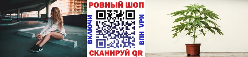 Продажа наркотиков Муром Alpha PVP Псилоцибиновые грибы Каннабис КОКАИН Меф мяу мяу