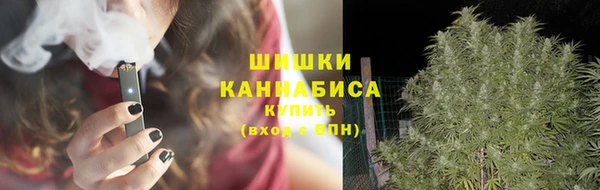 МДПВ Горняк